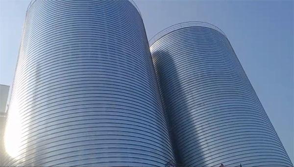 澄海2座混凝土高架卷板仓